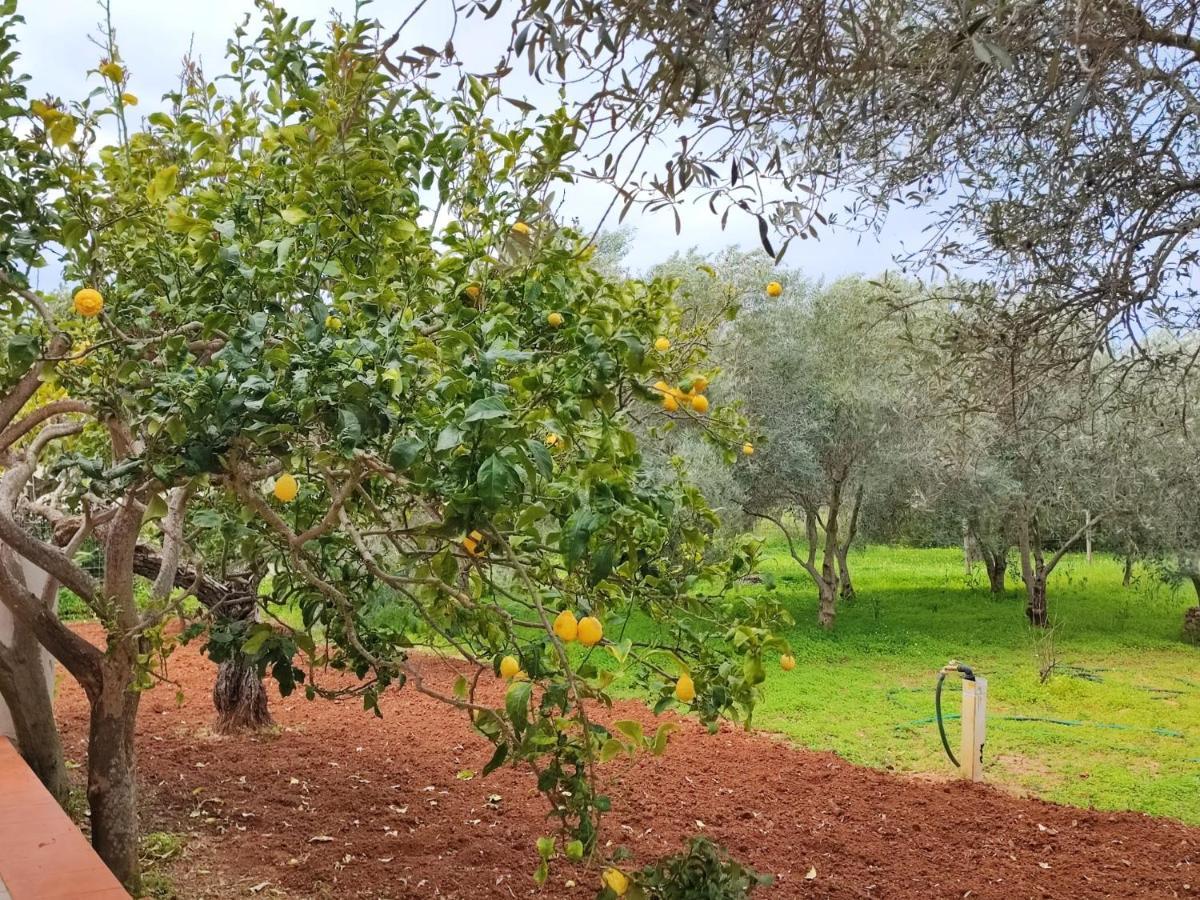 Casa Vacanze Da Nonna Mela ألغيرو المظهر الخارجي الصورة
